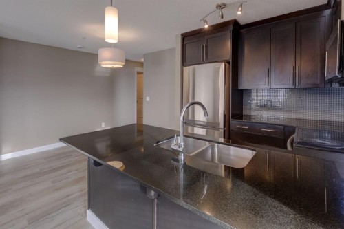 1311-155 Skyview Ranch Way Ne, Calgary, AB - Indoor Photo Showing Kitchen With Double Sink