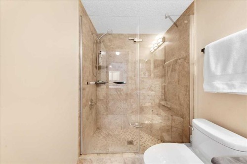 4214-4975 130 Avenue Se, Calgary, AB - Indoor Photo Showing Bathroom