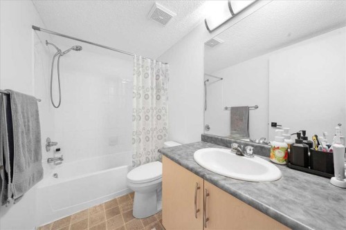 4214-4975 130 Avenue Se, Calgary, AB - Indoor Photo Showing Bathroom