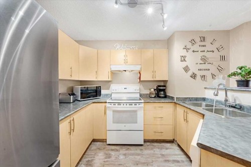 4214-4975 130 Avenue Se, Calgary, AB - Indoor Photo Showing Kitchen With Double Sink