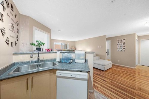 4214-4975 130 Avenue Se, Calgary, AB - Indoor Photo Showing Kitchen With Double Sink