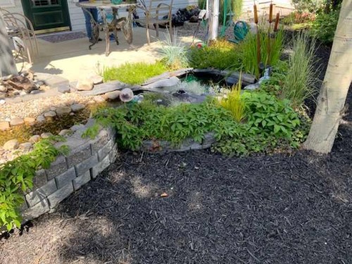 252 Citadel Park Nw, Calgary, AB - Outdoor