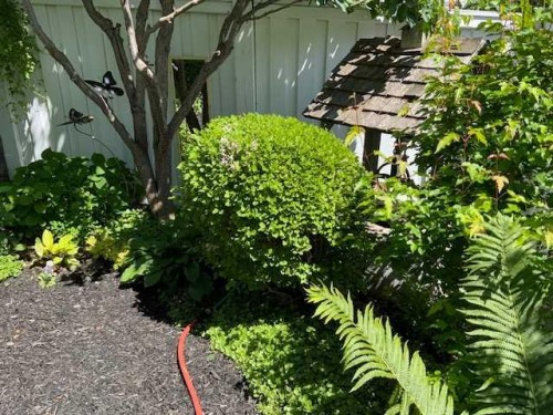 252 Citadel Park Nw, Calgary, AB - Outdoor