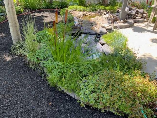 252 Citadel Park Nw, Calgary, AB - Outdoor