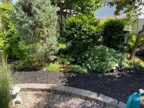 252 Citadel Park Nw, Calgary, AB - Outdoor