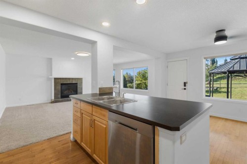 432 Royal Oak Circle Nw, Calgary, AB - Indoor Photo Showing Kitchen With Double Sink