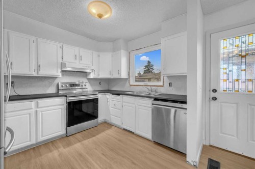 172 Templehill Drive Ne, Calgary, AB - Indoor Photo Showing Kitchen With Double Sink