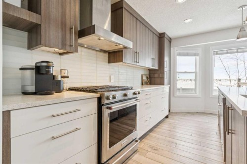 157 Chaparral Court Se, Calgary, AB - Indoor Photo Showing Kitchen With Upgraded Kitchen