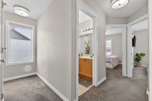 78 Tarington Close Ne, Calgary, AB - Indoor Photo Showing Other Room