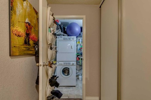 403-220 13 Avenue Sw, Calgary, AB - Indoor Photo Showing Laundry Room