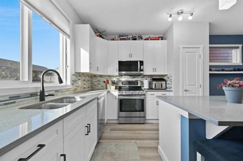 798 Walden Drive Se, Calgary, AB - Indoor Photo Showing Kitchen With Stainless Steel Kitchen With Double Sink With Upgraded Kitchen