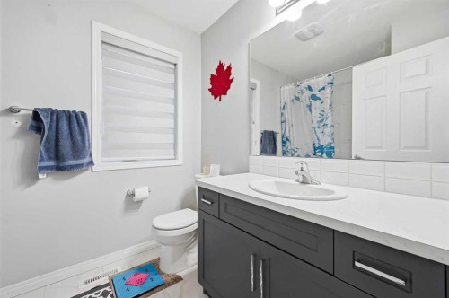 9 Osborne Link, Airdrie, AB - Indoor Photo Showing Bathroom