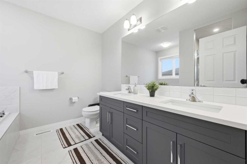 9 Osborne Link, Airdrie, AB - Indoor Photo Showing Bathroom