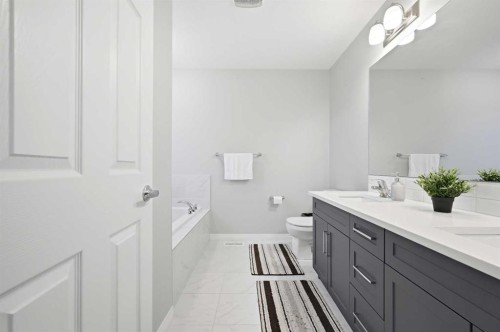 9 Osborne Link, Airdrie, AB - Indoor Photo Showing Bathroom