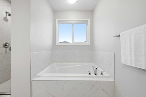 9 Osborne Link, Airdrie, AB - Indoor Photo Showing Bathroom