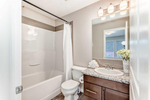 119 Auburn Meadows Walk Se, Calgary, AB - Indoor Photo Showing Bathroom