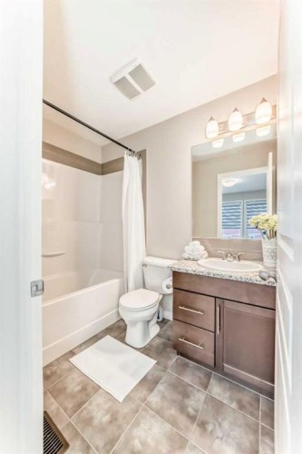 119 Auburn Meadows Walk Se, Calgary, AB - Indoor Photo Showing Bathroom