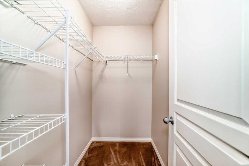 119 Auburn Meadows Walk Se, Calgary, AB - Indoor With Storage