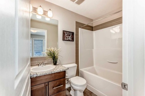 119 Auburn Meadows Walk Se, Calgary, AB - Indoor Photo Showing Bathroom