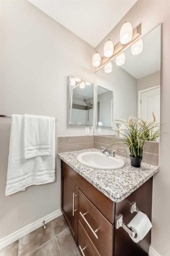 119 Auburn Meadows Walk Se, Calgary, AB - Indoor Photo Showing Bathroom