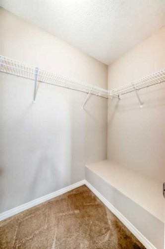 119 Auburn Meadows Walk Se, Calgary, AB - Indoor With Storage