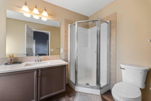 8 Copperfield Manor Se, Calgary, AB - Indoor Photo Showing Bathroom