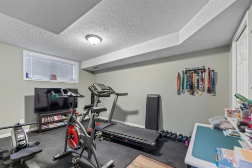 8 Copperfield Manor Se, Calgary, AB - Indoor Photo Showing Gym Room