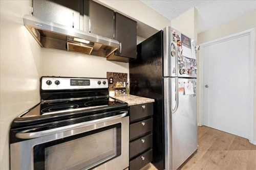 206-630 57 Avenue Sw, Calgary, AB - Indoor Photo Showing Kitchen