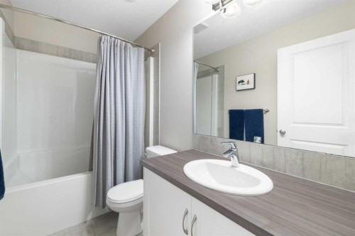 211 Evanscrest Way Nw, Calgary, AB - Indoor Photo Showing Bathroom