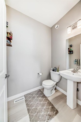 559 Cornerstone Avenue Ne, Calgary, AB - Indoor Photo Showing Bathroom