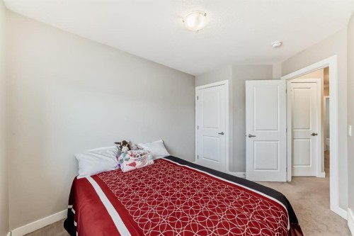 559 Cornerstone Avenue Ne, Calgary, AB - Indoor Photo Showing Bedroom