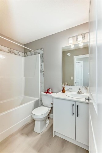 559 Cornerstone Avenue Ne, Calgary, AB - Indoor Photo Showing Bathroom