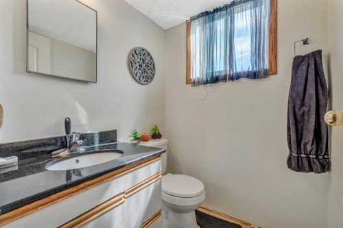 4771 Rundlehorn Drive Ne, Calgary, AB - Indoor Photo Showing Bathroom