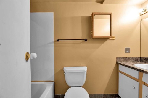 111 Dovertree Place Se, Calgary, AB - Indoor Photo Showing Bathroom