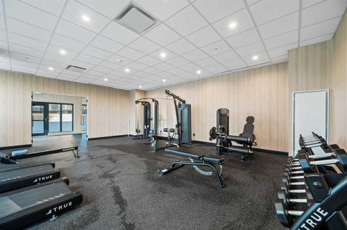 103-730 2 Avenue Sw, Calgary, AB - Indoor Photo Showing Gym Room