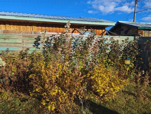 119 47 Avenue West, Claresholm, AB - Outdoor