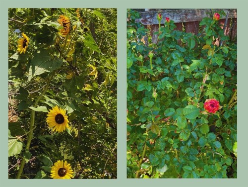 119 47 Avenue West, Claresholm, AB - 