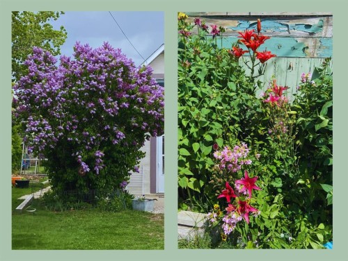 119 47 Avenue West, Claresholm, AB - 