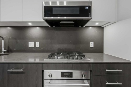 207-730 2 Avenue Sw, Calgary, AB - Indoor Photo Showing Kitchen With Upgraded Kitchen