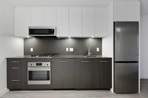 810-730 2 Avenue Sw, Calgary, AB - Indoor Photo Showing Kitchen With Upgraded Kitchen
