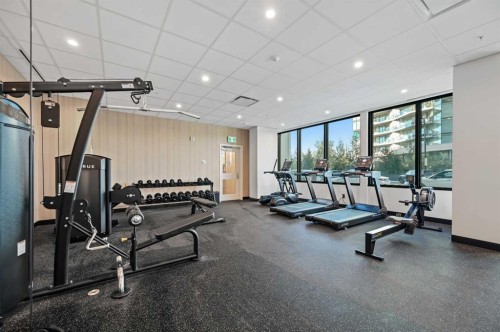 810-730 2 Avenue Sw, Calgary, AB - Indoor Photo Showing Gym Room