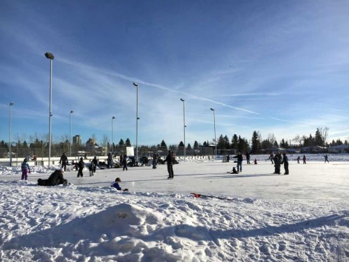 4736 Worcester Drive Sw, Calgary, AB -  With View