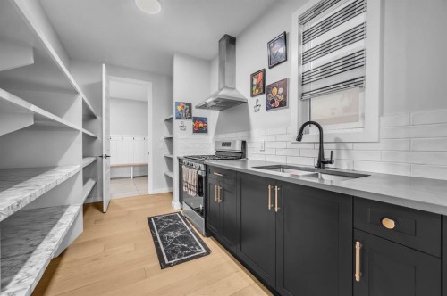 459 Savanna Way Ne, Calgary, AB - Indoor Photo Showing Kitchen With Double Sink