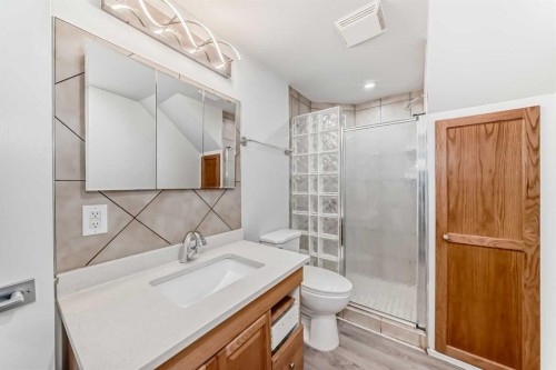 207 Pinecliff Way Ne, Calgary, AB - Indoor Photo Showing Bathroom