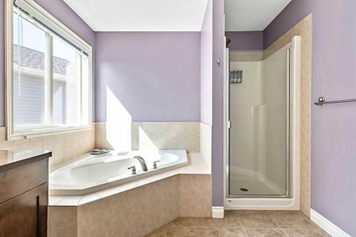 521 Westmount Close, Okotoks, AB - Indoor Photo Showing Bathroom