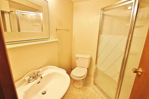 203 Falwood Way Ne, Calgary, AB - Indoor Photo Showing Bathroom