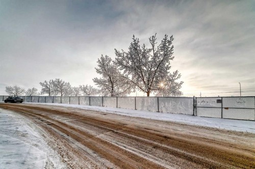 203 Falwood Way Ne, Calgary, AB - Outdoor