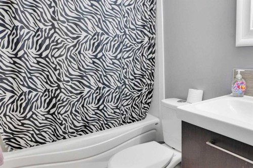 6934 Laguna Way Ne, Calgary, AB - Indoor Photo Showing Bathroom