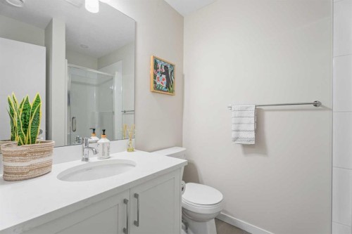 160 Copperleaf Way Se, Calgary, AB - Indoor Photo Showing Bathroom
