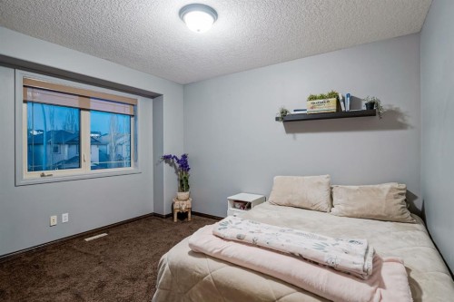 203 Sunset Circle, Cochrane, AB - Indoor Photo Showing Bedroom